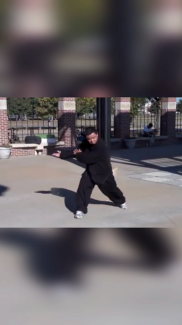 心意拳#心意六合拳十字裹横