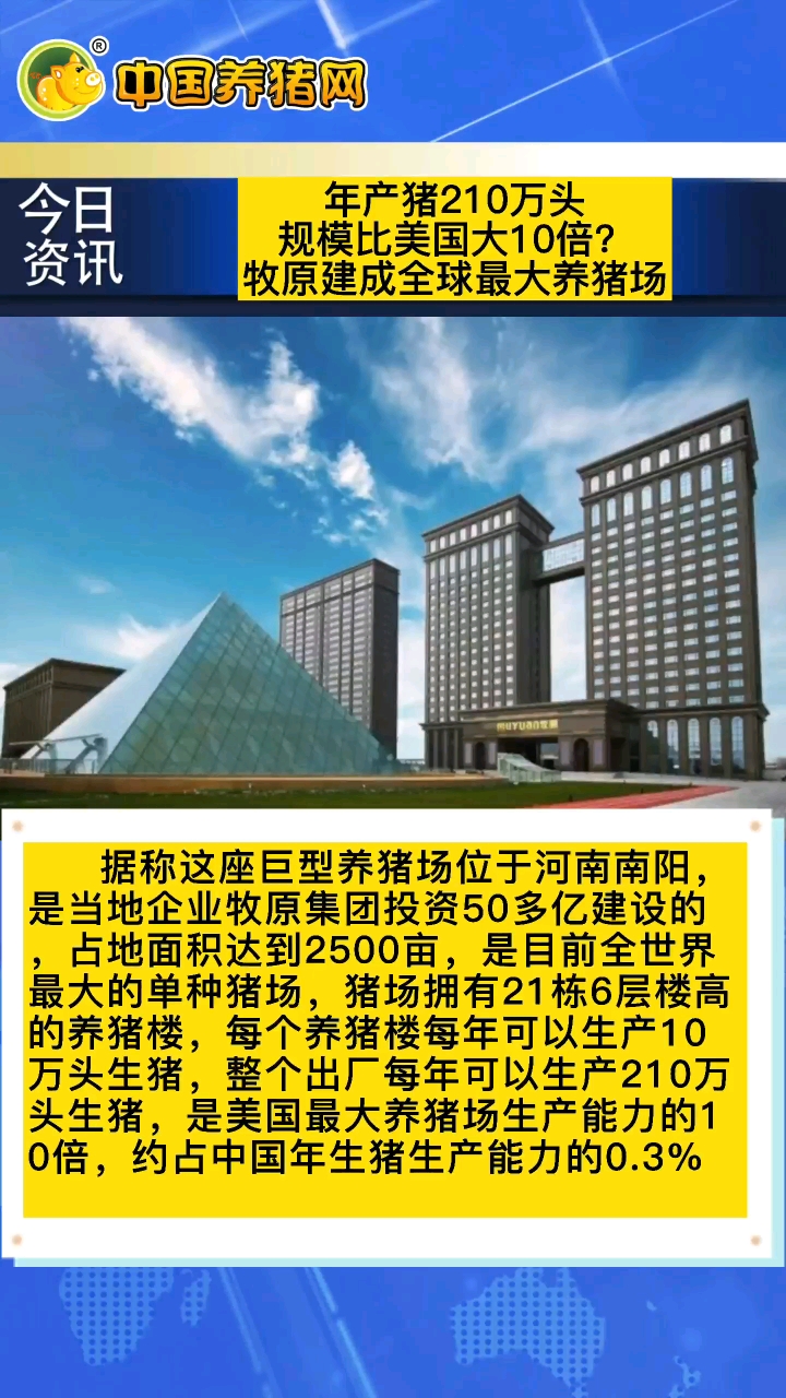 牧原建成全球最大养猪场