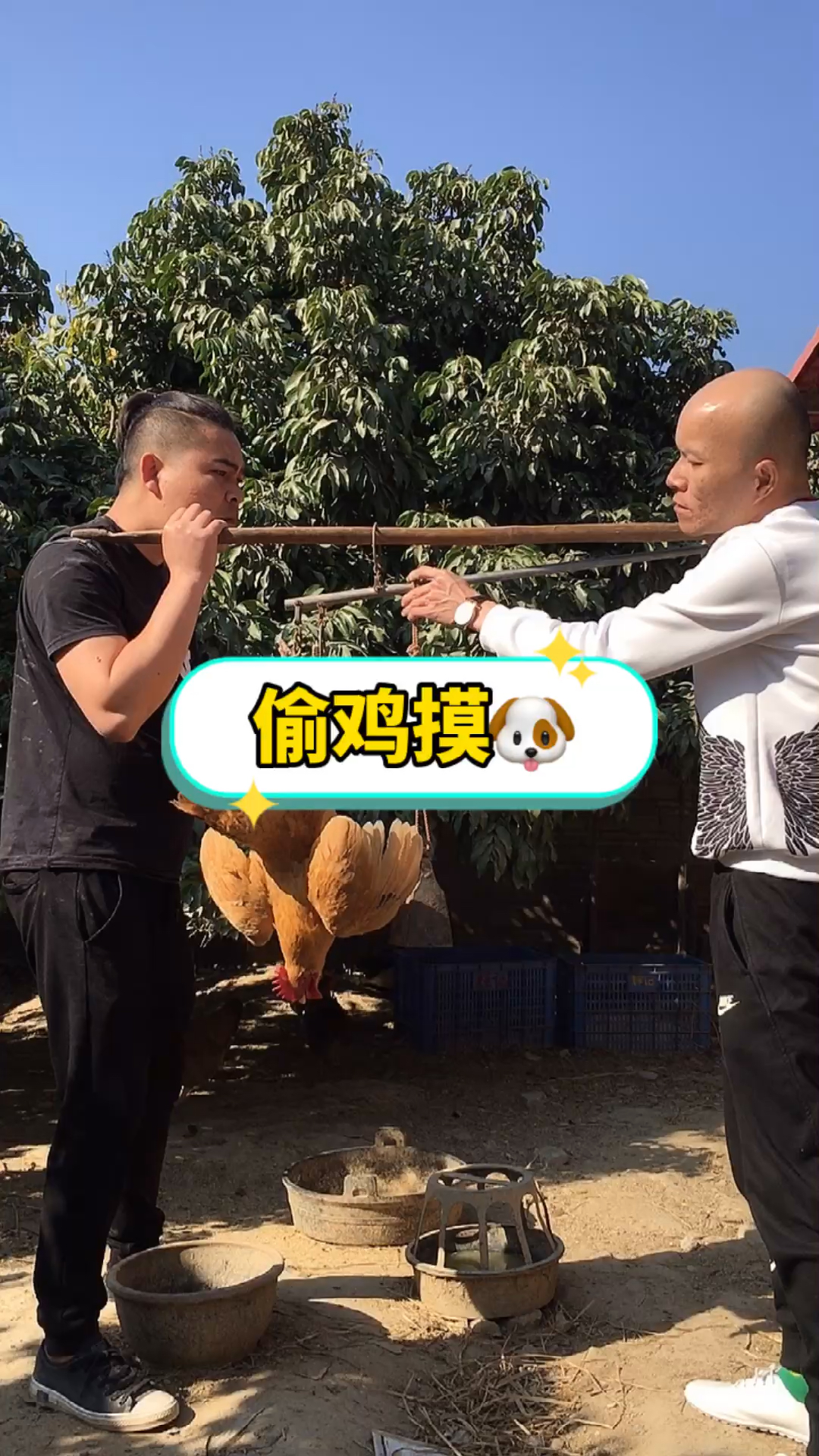 经典搞笑#偷鸡摸狗