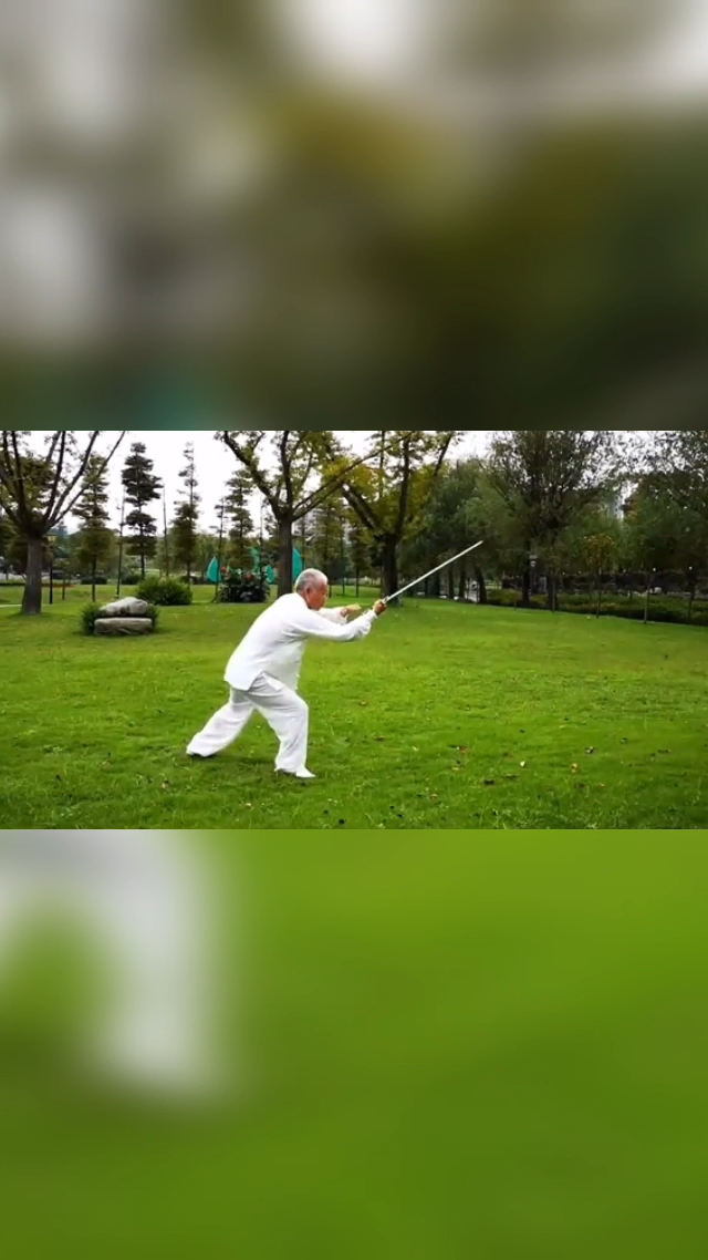 武当剑武术家褚桂亭传武当剑单练法