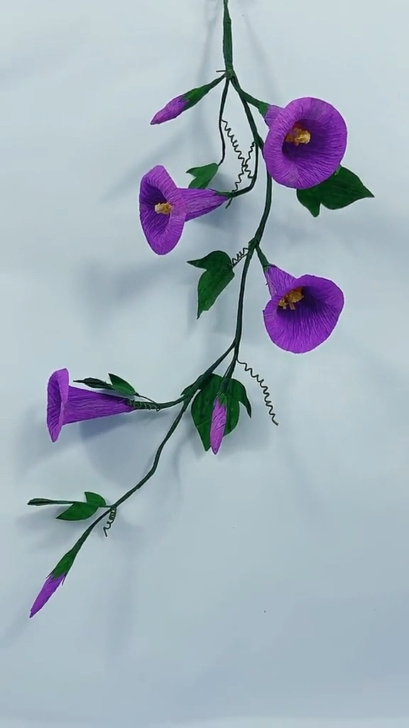 皱纹纸牵牛花