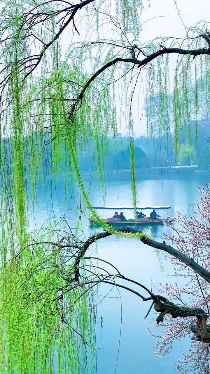 桃花渡云烟柳缨垂清涟晨风轻舟慢小绿满人间