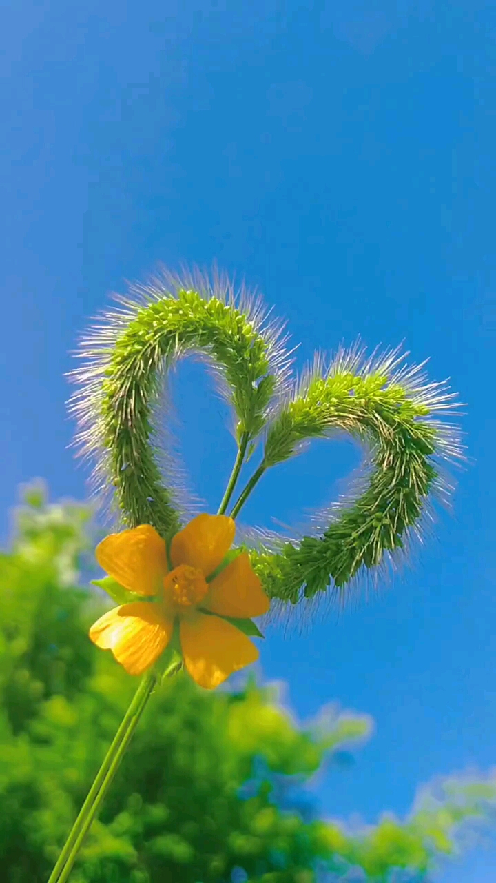 留下美好瞬间,记忆留心间.最简单的心最真挚的爱.