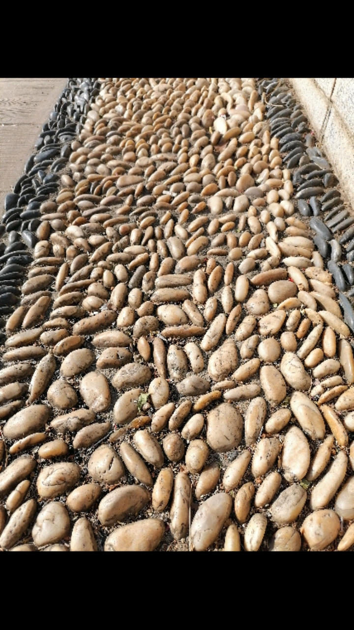 旅游进行时#一叶小舟江中游,石子铺路惹人爱.