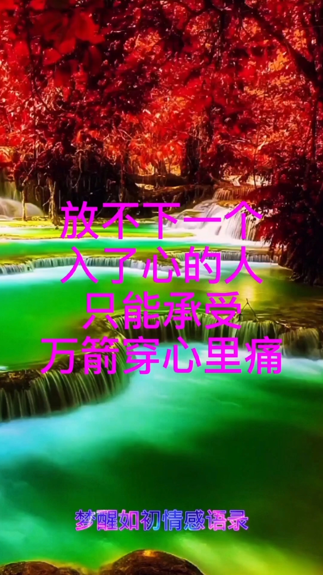 扎心情感语录#放不下一个入了心的人只能承受万箭穿心的痛