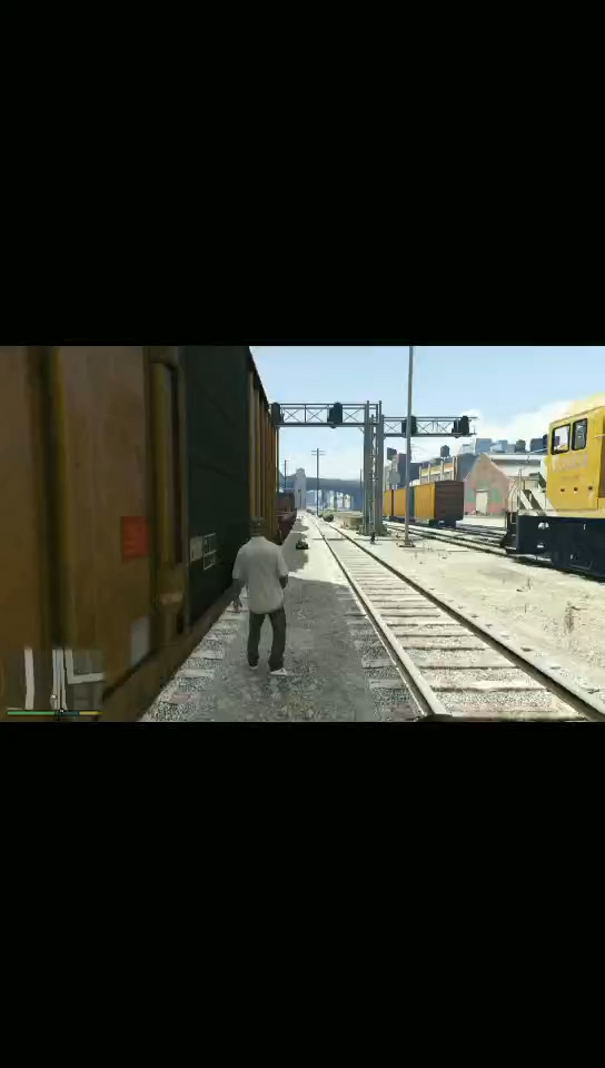 gta5gta5小查有什么样的主人就有什么样的狗也是一条不正经的狗