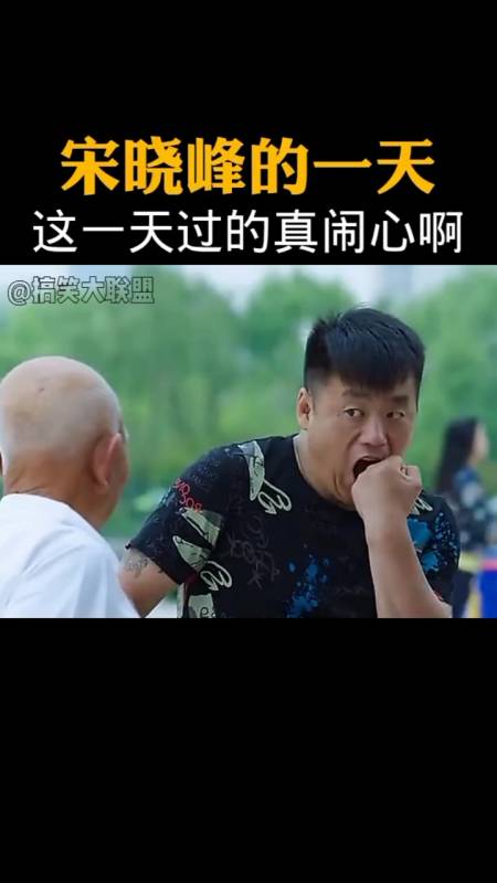 搞笑段子剧#宋晓峰的一天真是闹心