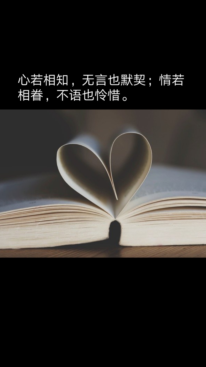 我的奋斗人生#心若相知,无言也默契;情若相眷,不语也怜惜.