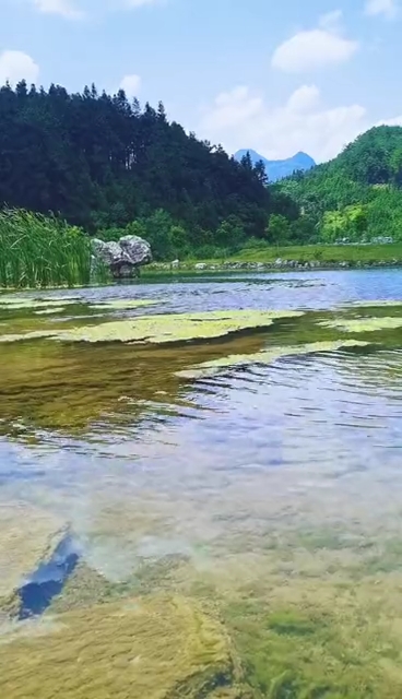 旅游进行时#山美水美中国美"山青水秀好地方"自然风光