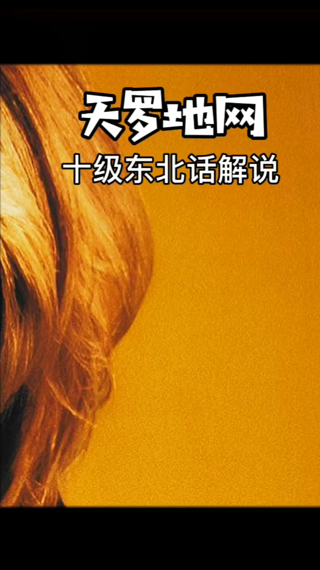 十级东北话解说高智商犯罪富商偷名画天衣无缝