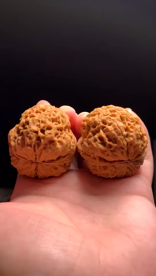 文玩核桃#金蟾王