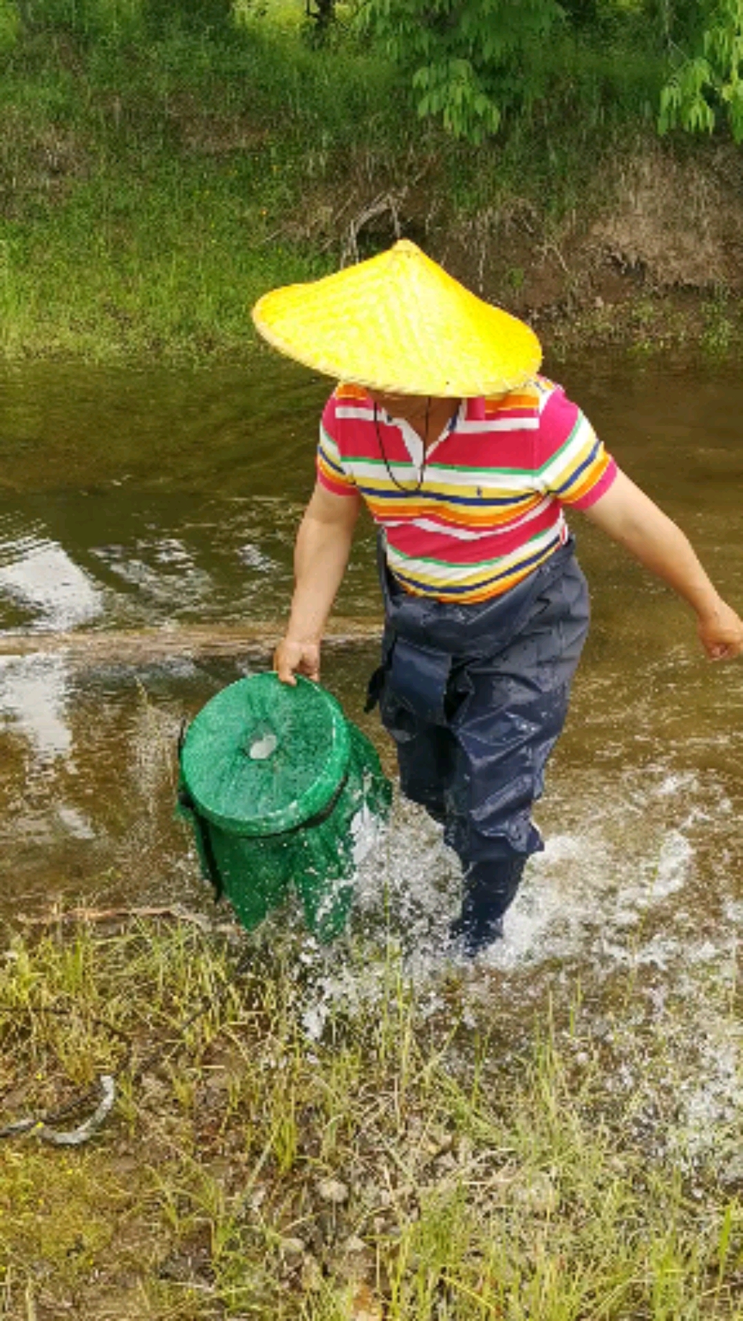 下二天的自制捕鱼神器上鱼了.