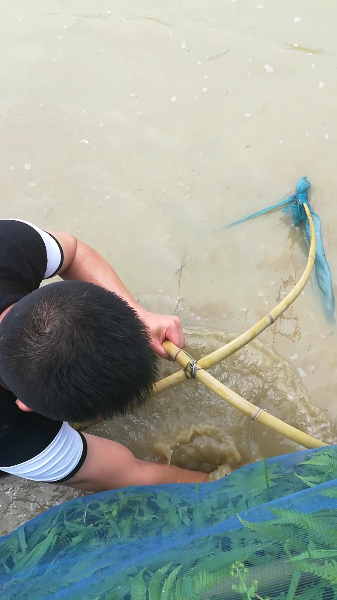 户外抓鱼#浑水摸鱼,儿时的回忆!