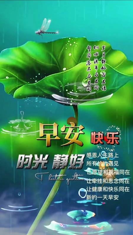 早安#8d全景环绕音效(耳机可享)视频——早安,周末愉快!