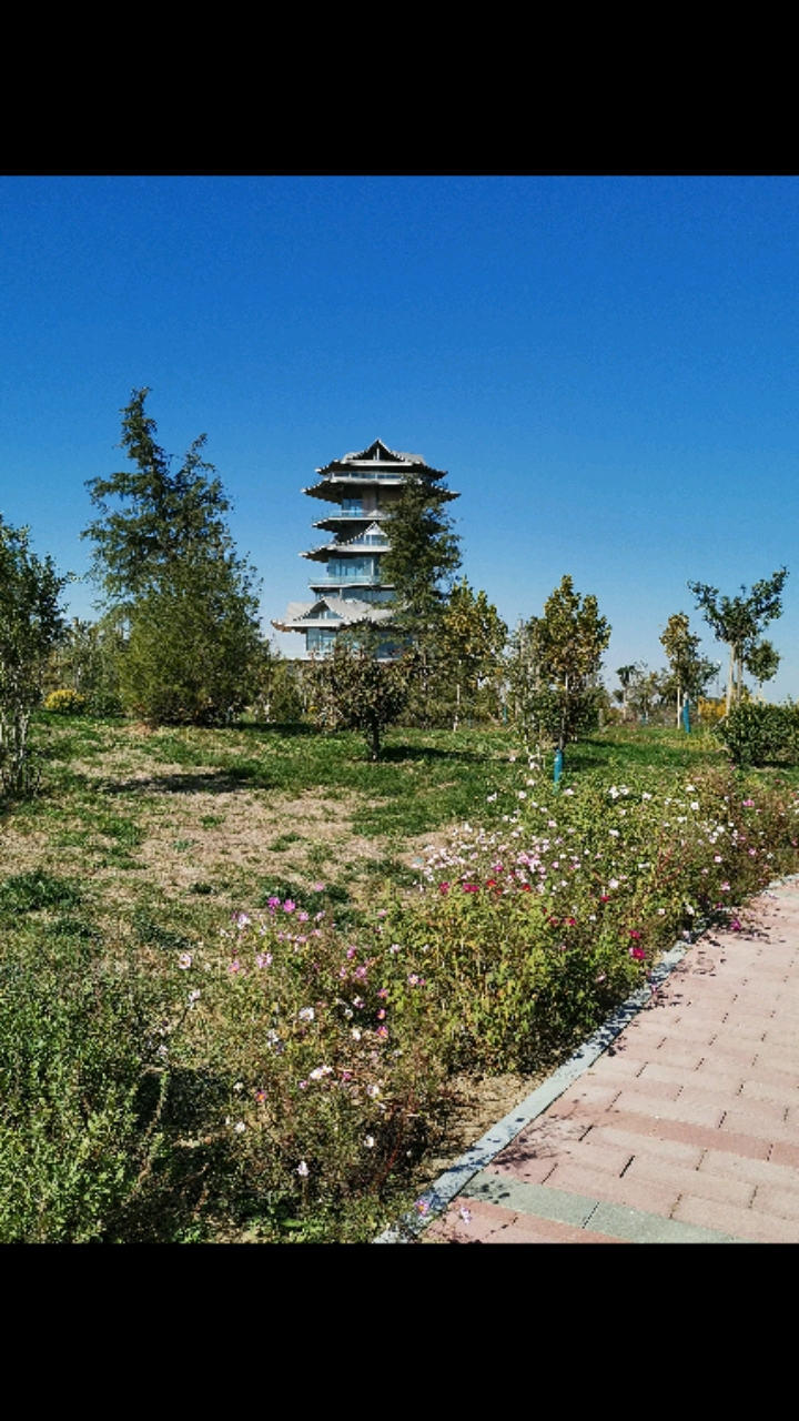 肃宁公园的美景图片