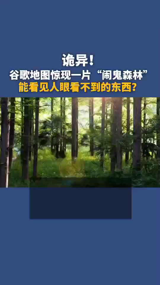 不一样的人生谷歌地图惊片闹鬼森林