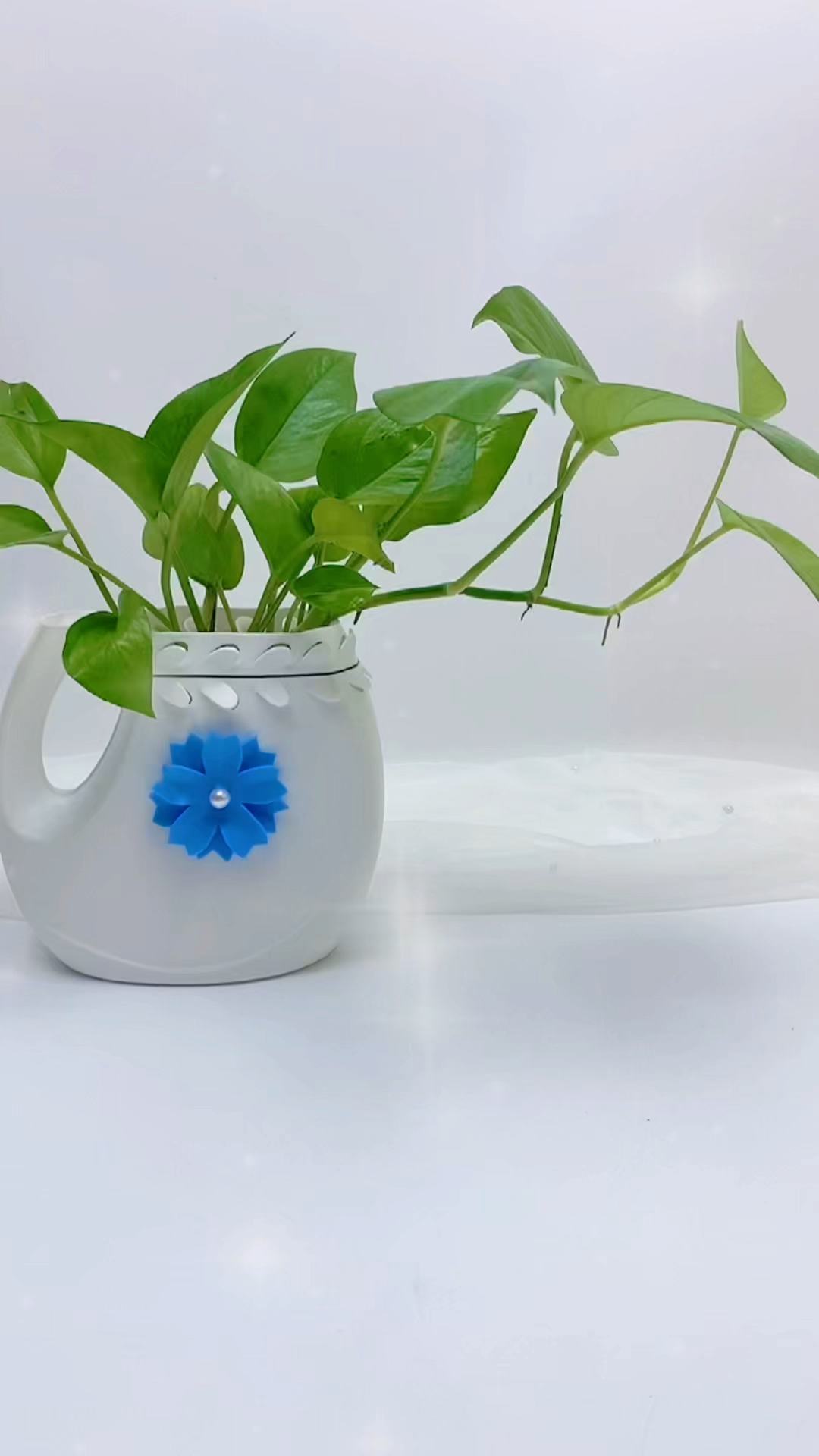 用完的洗衣液瓶子利用起来做简单又实用的花盆吧