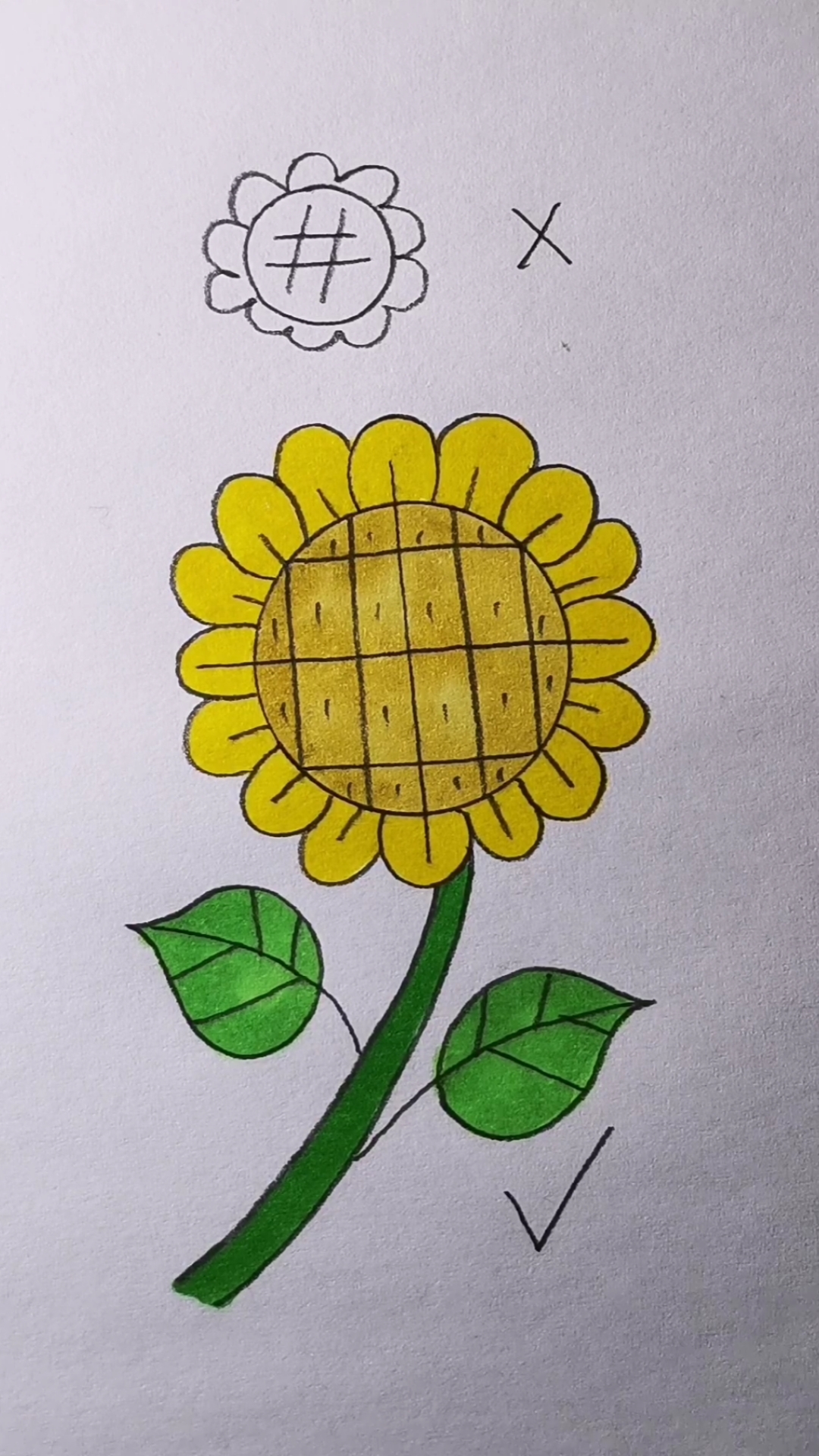 向日葵的正确画法.