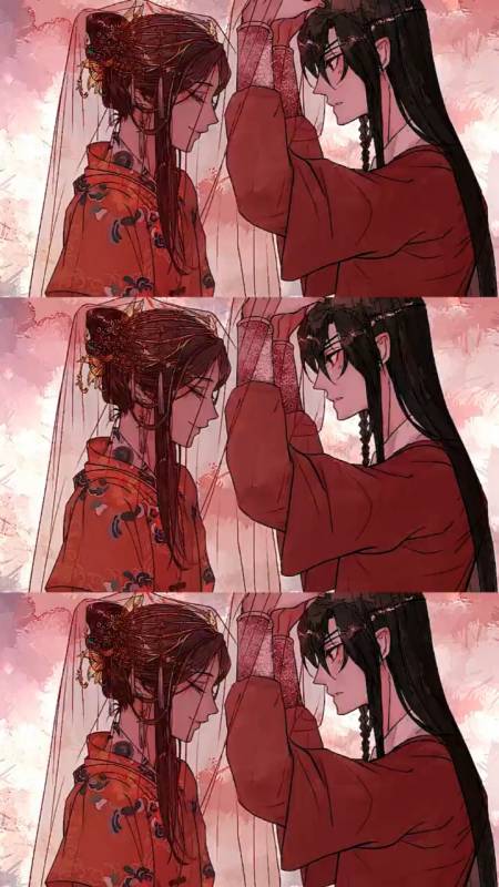 天官赐福#花城和谢怜爱了爱了原地结婚