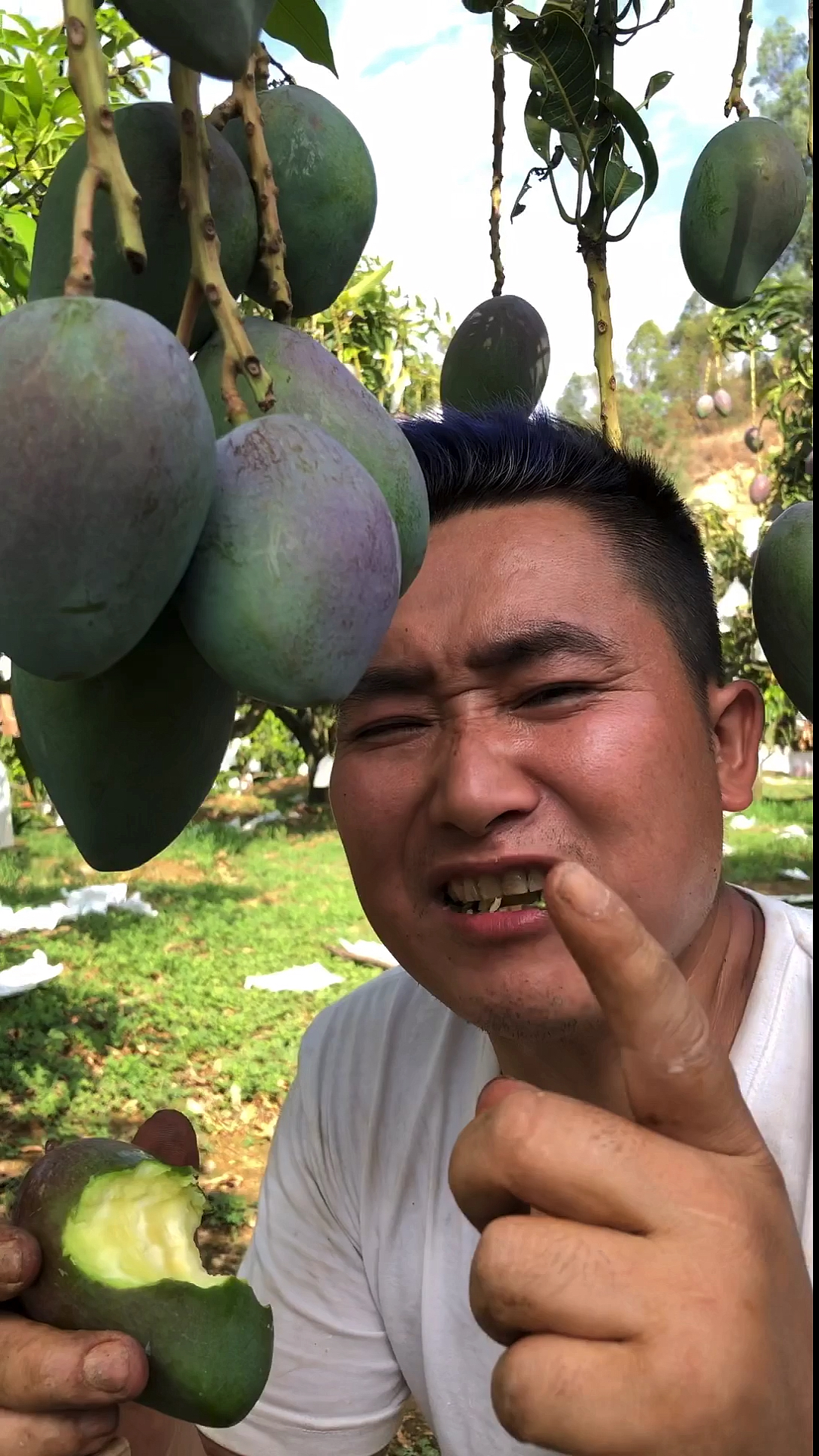 蔬菜水果#挑战表情哥吃芒果骗你的其实芒果很甜的