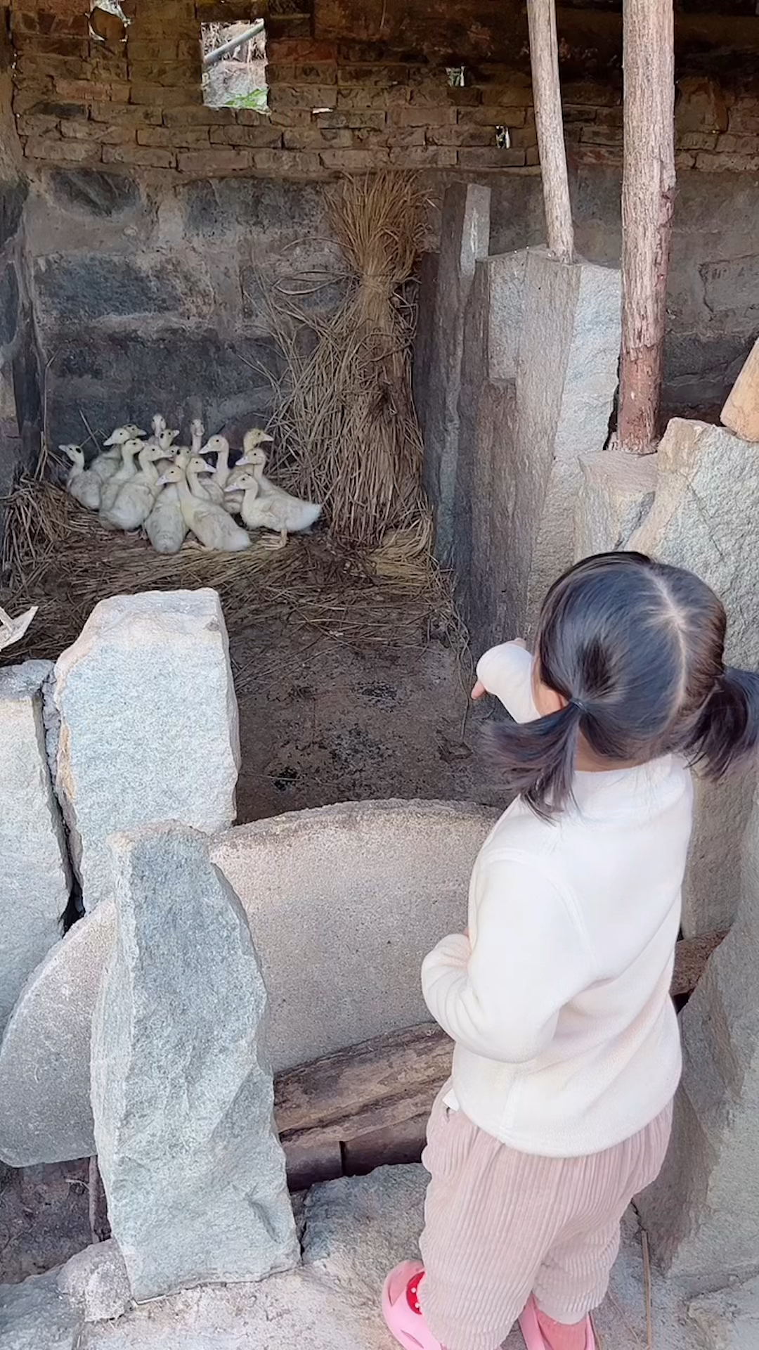 搞笑萌娃#回村看到爷爷奶奶养的小鸭子,跟着自言自语半天,姐姐都坎换
