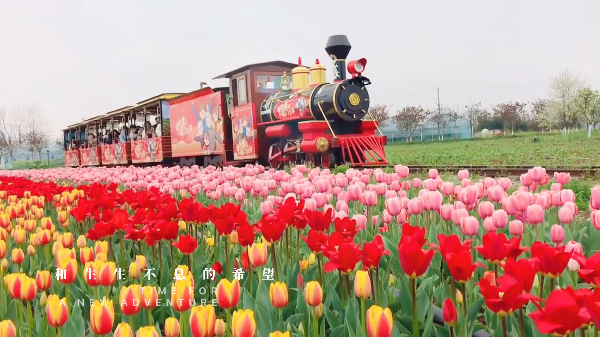 五一看花海成都天气怎么样的简单介绍