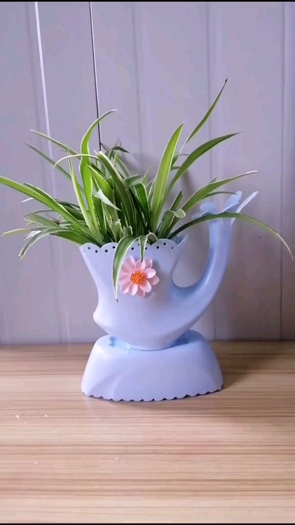 洗衣液桶不要扔,家里不要买花盆了,一款简单的花盆水养特方便.