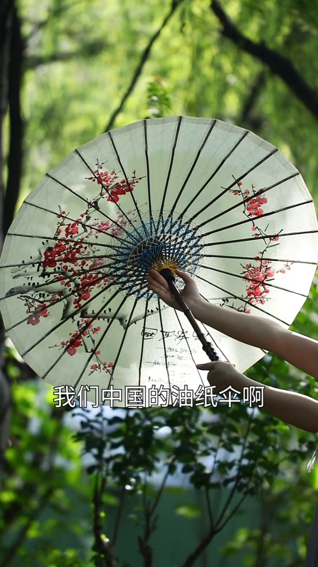 全民最牛手艺人油纸伞不能防雨的话老祖宗下雨用伞怕是遮了个寂寞
