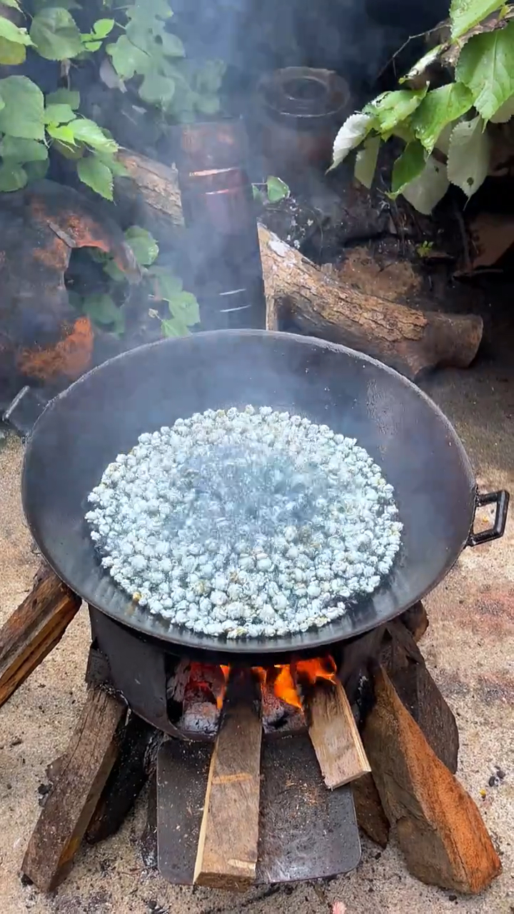 蓝莓味的爆米花