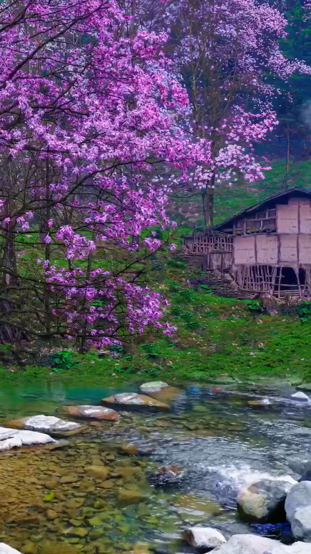 他日若闲小桥流水人家邀你归隐田园忘却红尘三千事拈花把酒尽余欢