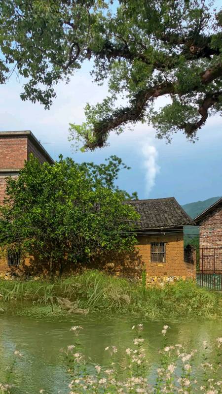 乡村生活#这就是我们农村山沟沟里,我知道很多朋友,都不喜欢这样的