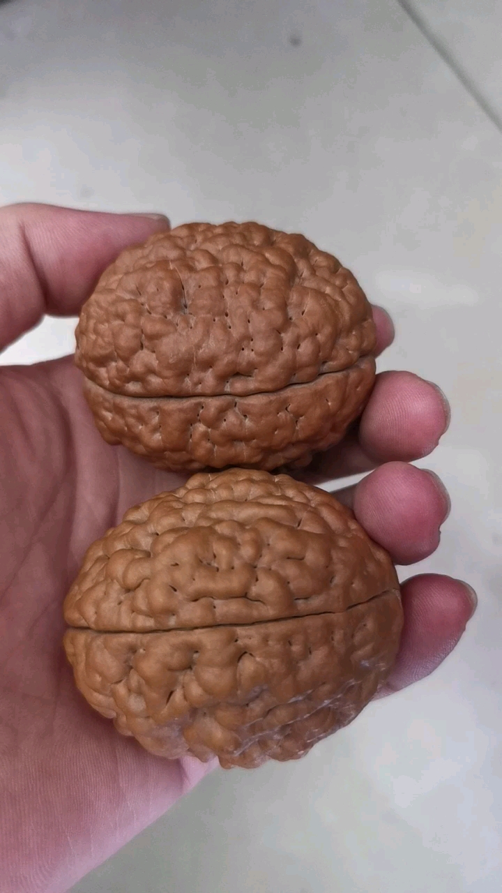 脑纹大金刚开盘了