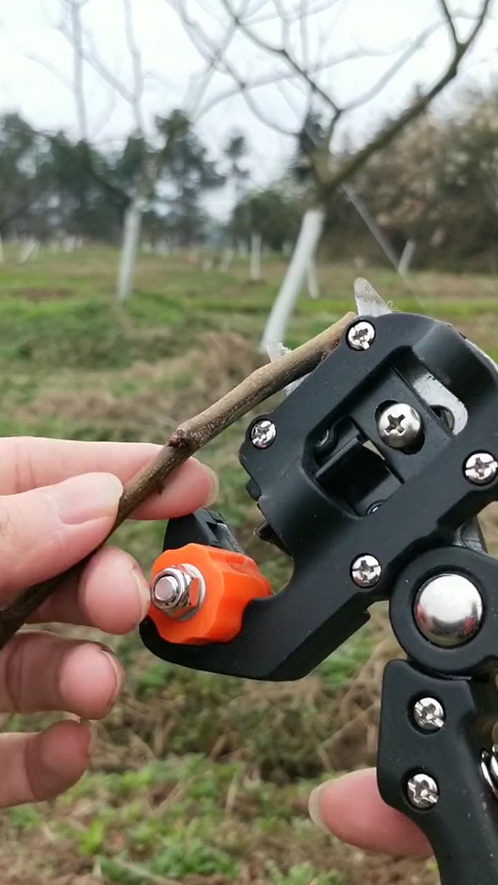 嫁接器嫁接支持现代农业