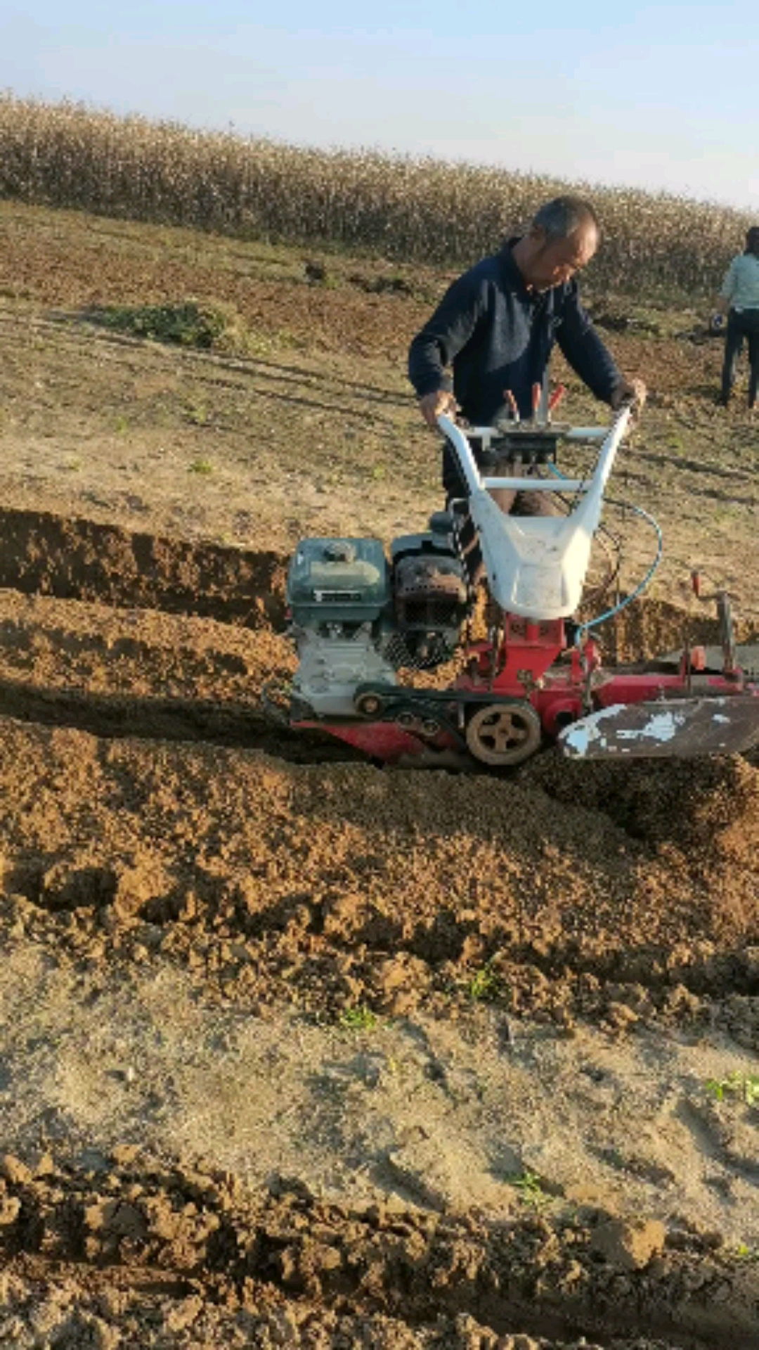 舜航开沟培土机#大葱开沟培土机开沟起垄机小型耕机机多功能微富