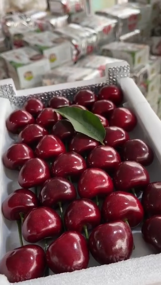 大连精品车厘子