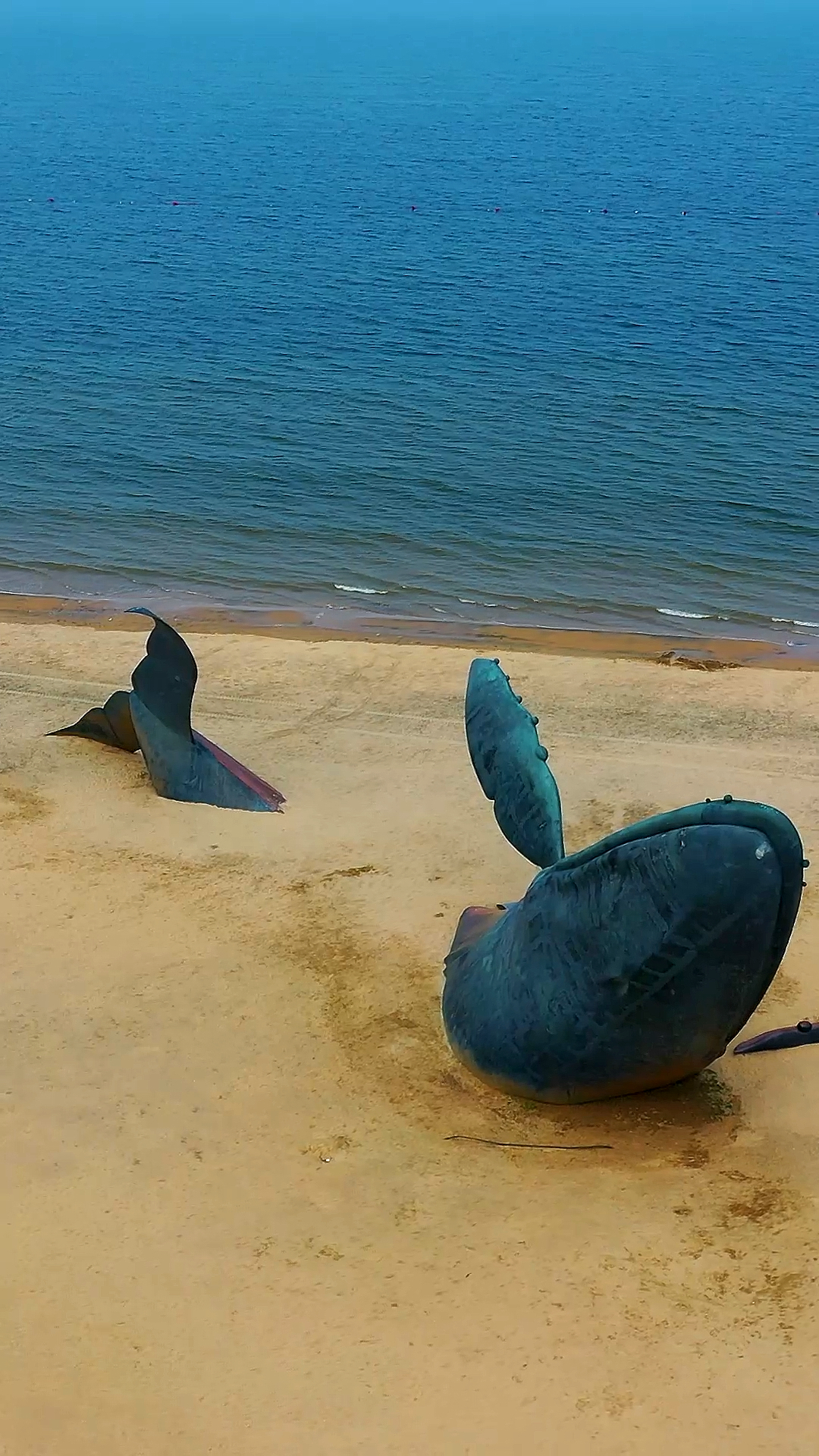 带上全民去旅行#世界上最孤独的鲸鱼,在烟台金沙滩公园