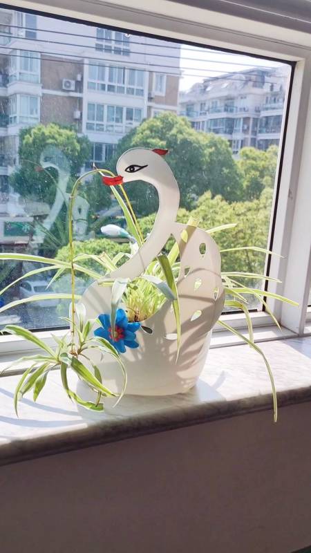 梅子手工花盆#洗衣液瓶巧利用,秒变天鹅艺术品,关注我,下个视频发
