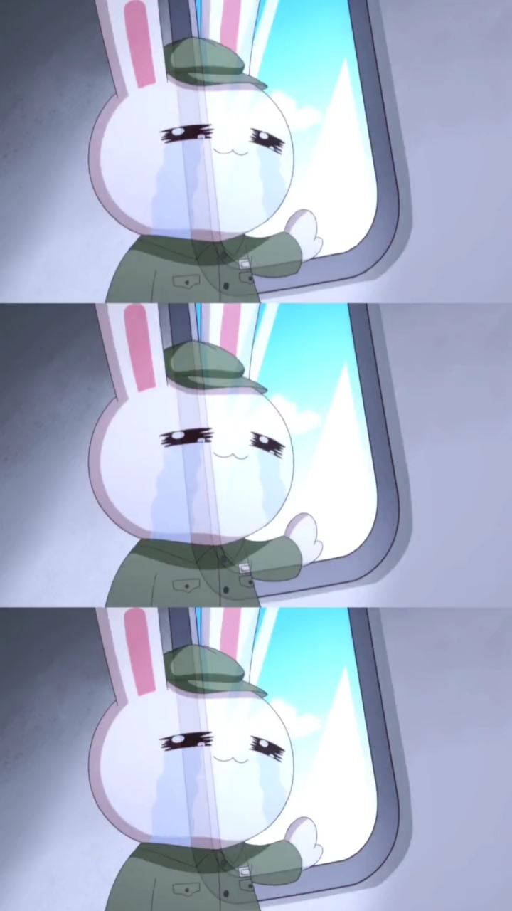 "亲,看到红旗了吗,我们回家了"#那年那兔那些事#动漫#国漫#时空缝隙