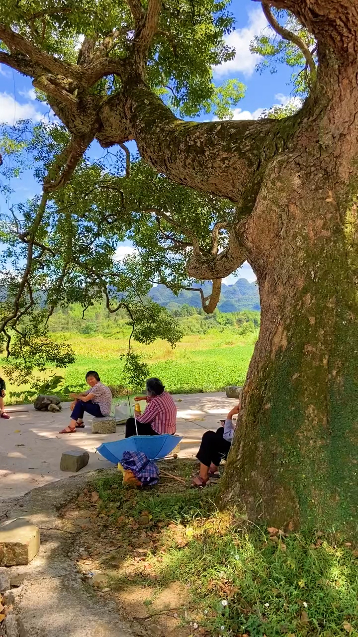 这风景儿时的回忆