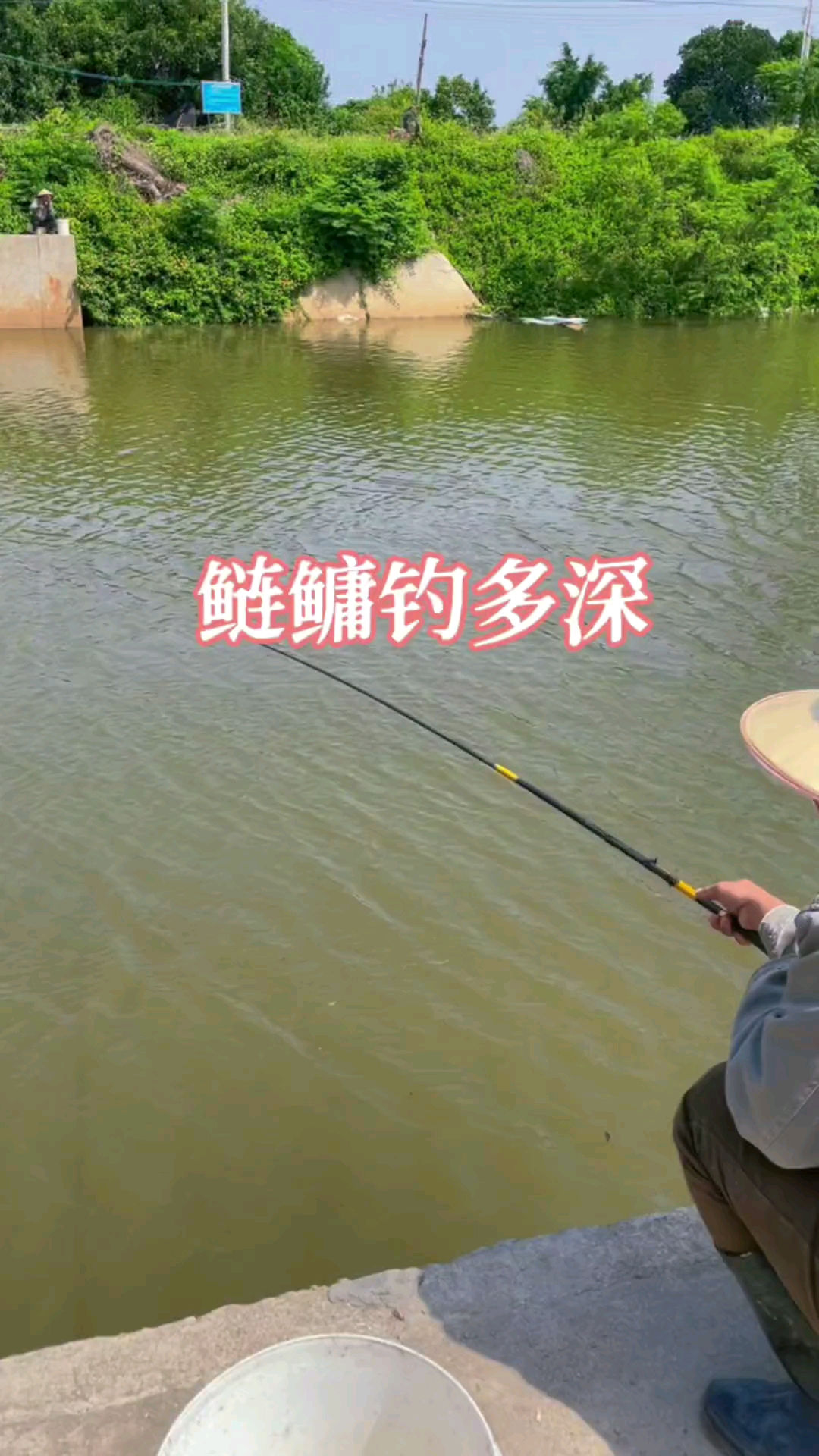 钓鱼鲢鳙钓多深钓鱼人都应该知道的