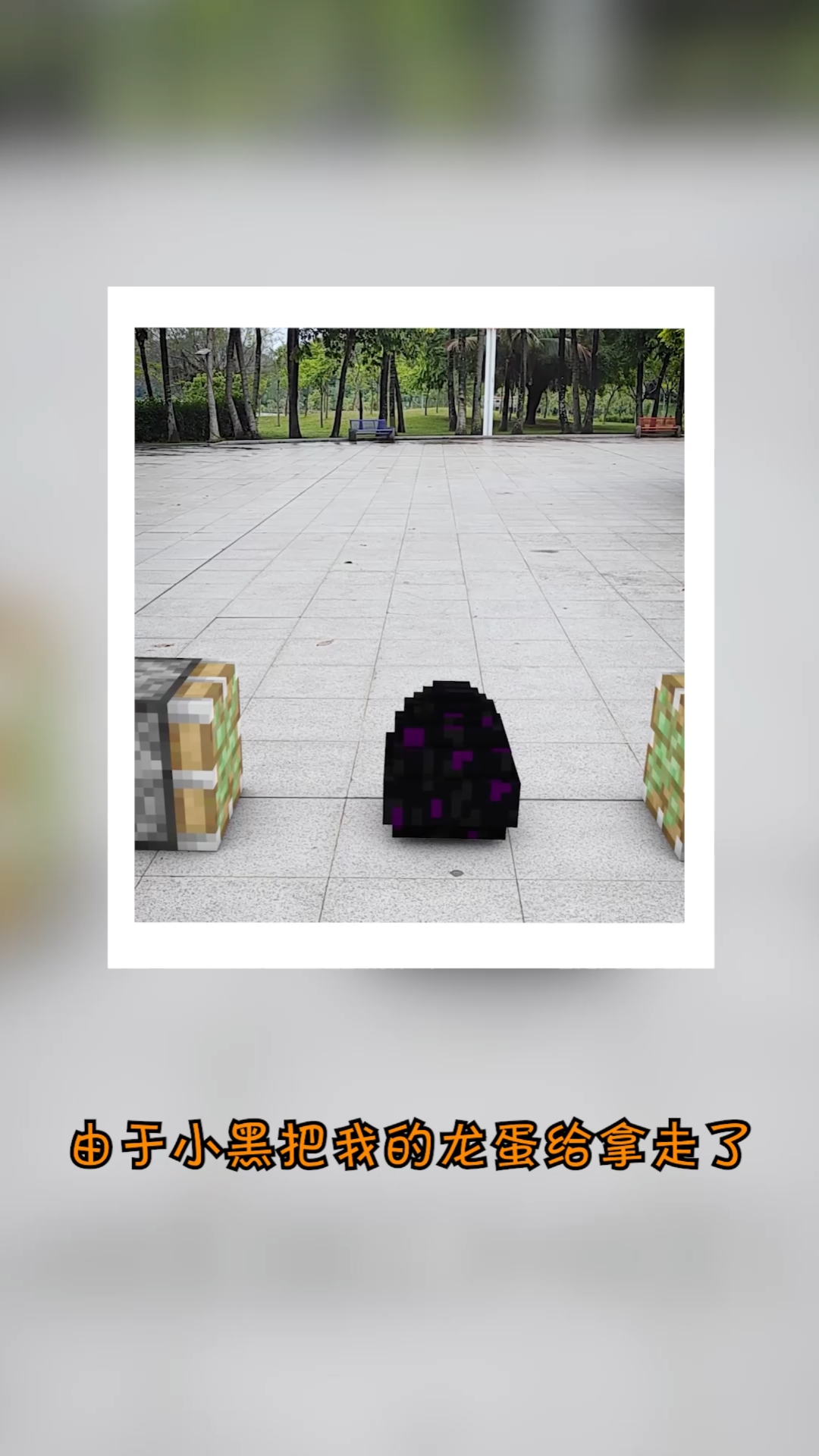 我的世界上次小黑把龙蛋拿走了今天我终于拿回了我的龙蛋
