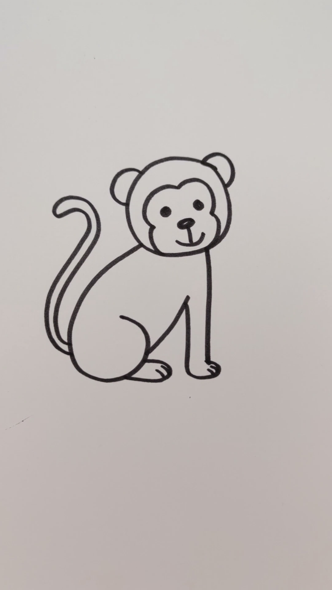 真实猴子怎么画图片