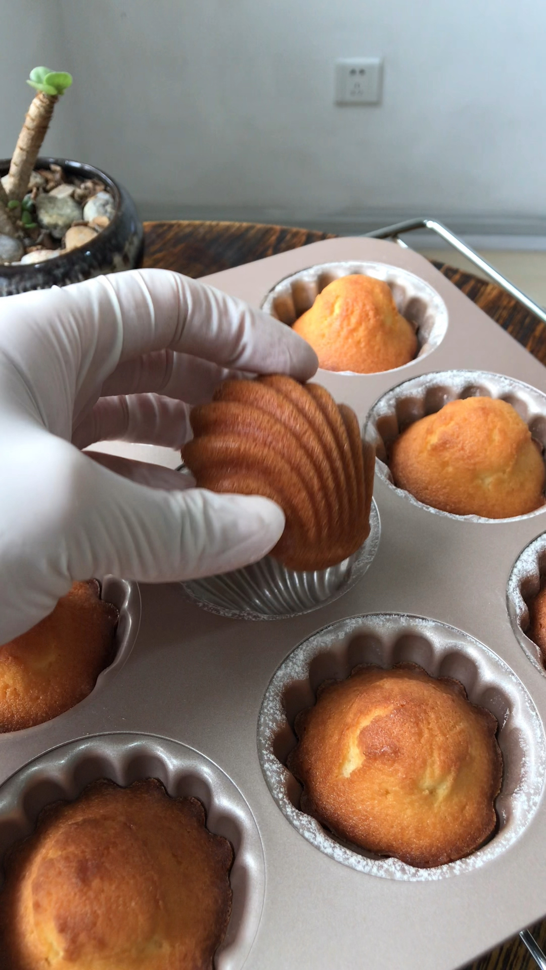 玛德琳蛋糕普鲁斯特笔下贝壳状的法式小甜点