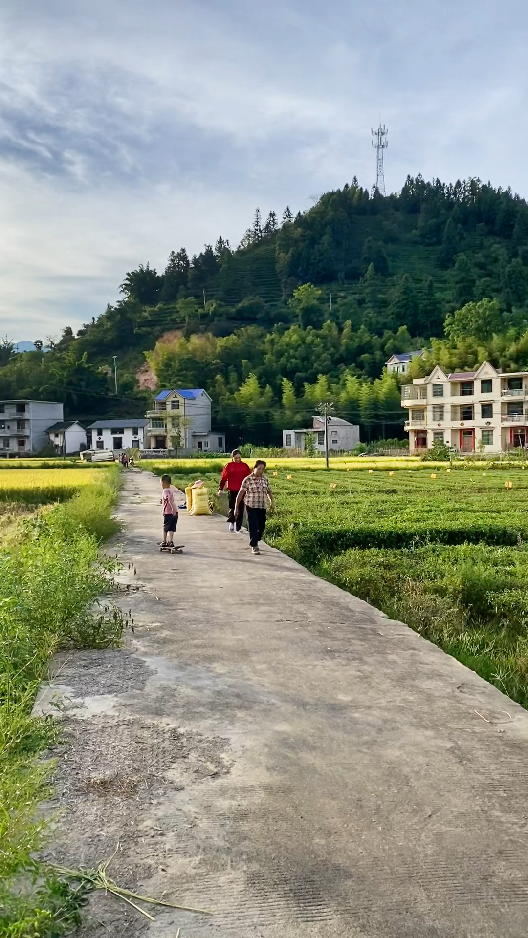 山村小邓图片