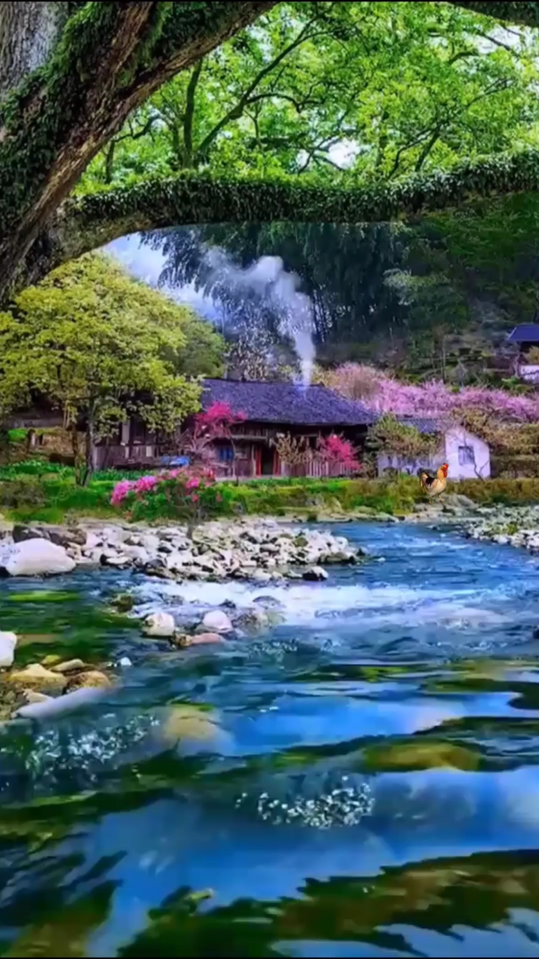 你好,夏天#聆听大自然的声音