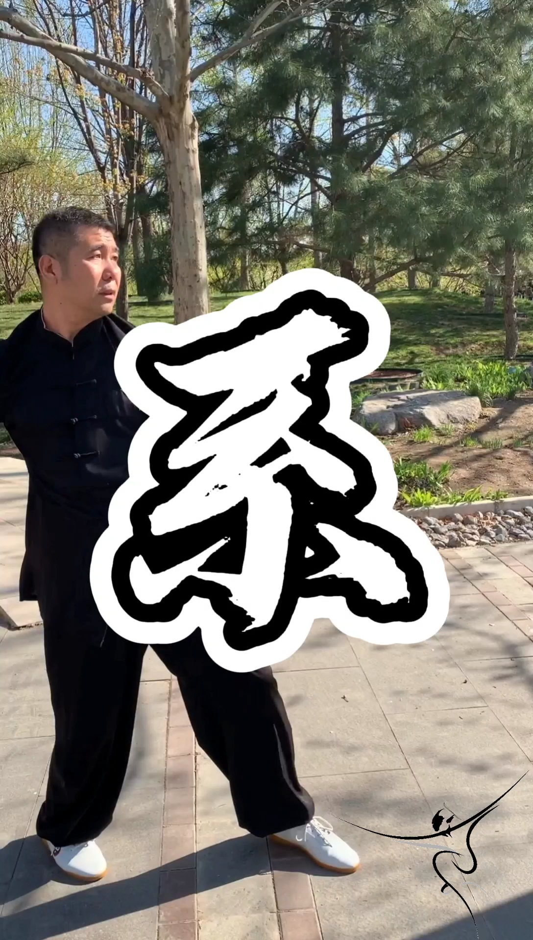 传统武术#白猿通背拳-拳法体系(四)