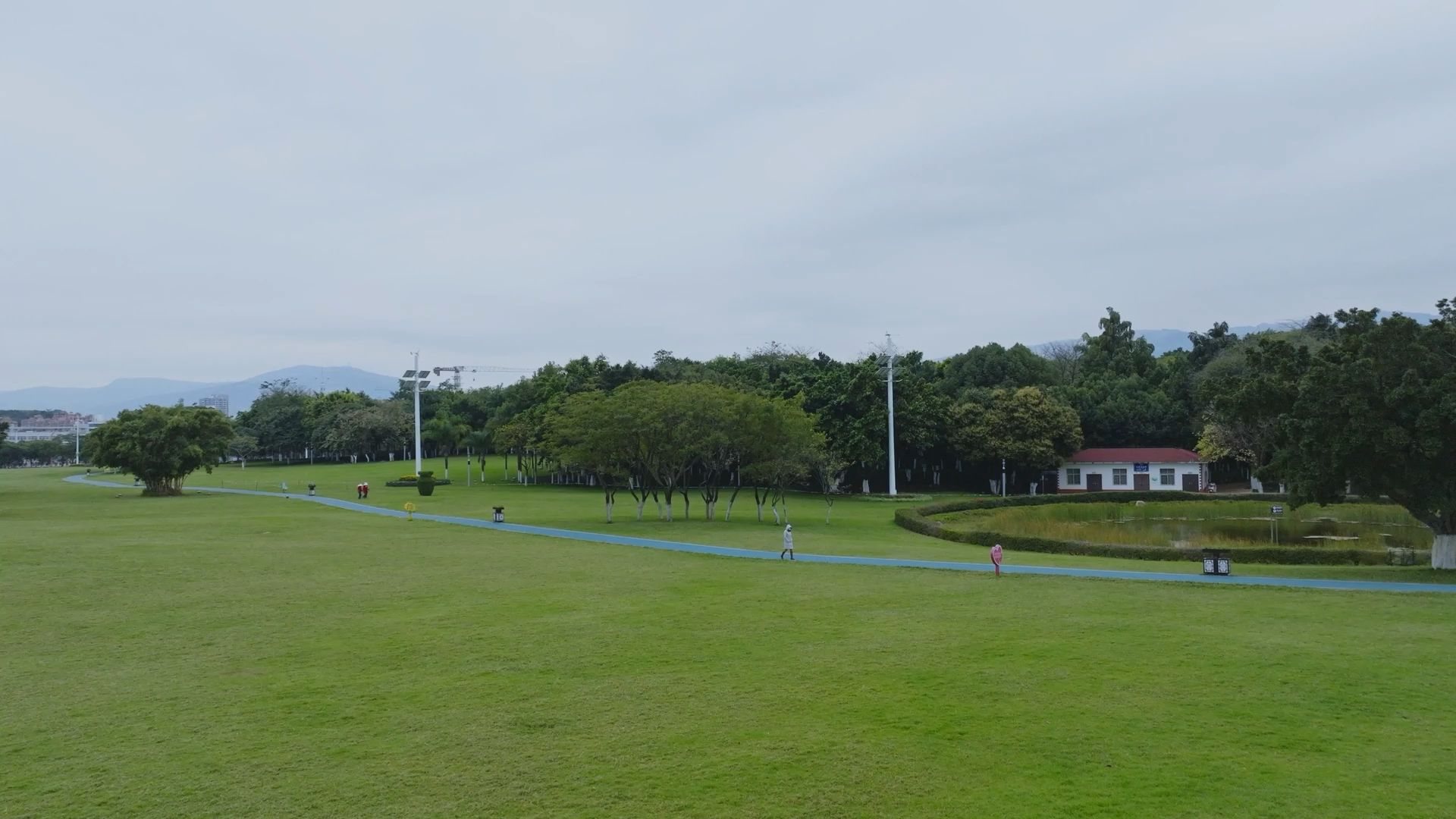 我家宠物不一样#红河开远幸福大草原凤凰湖公园航拍,视频素材:画始乔