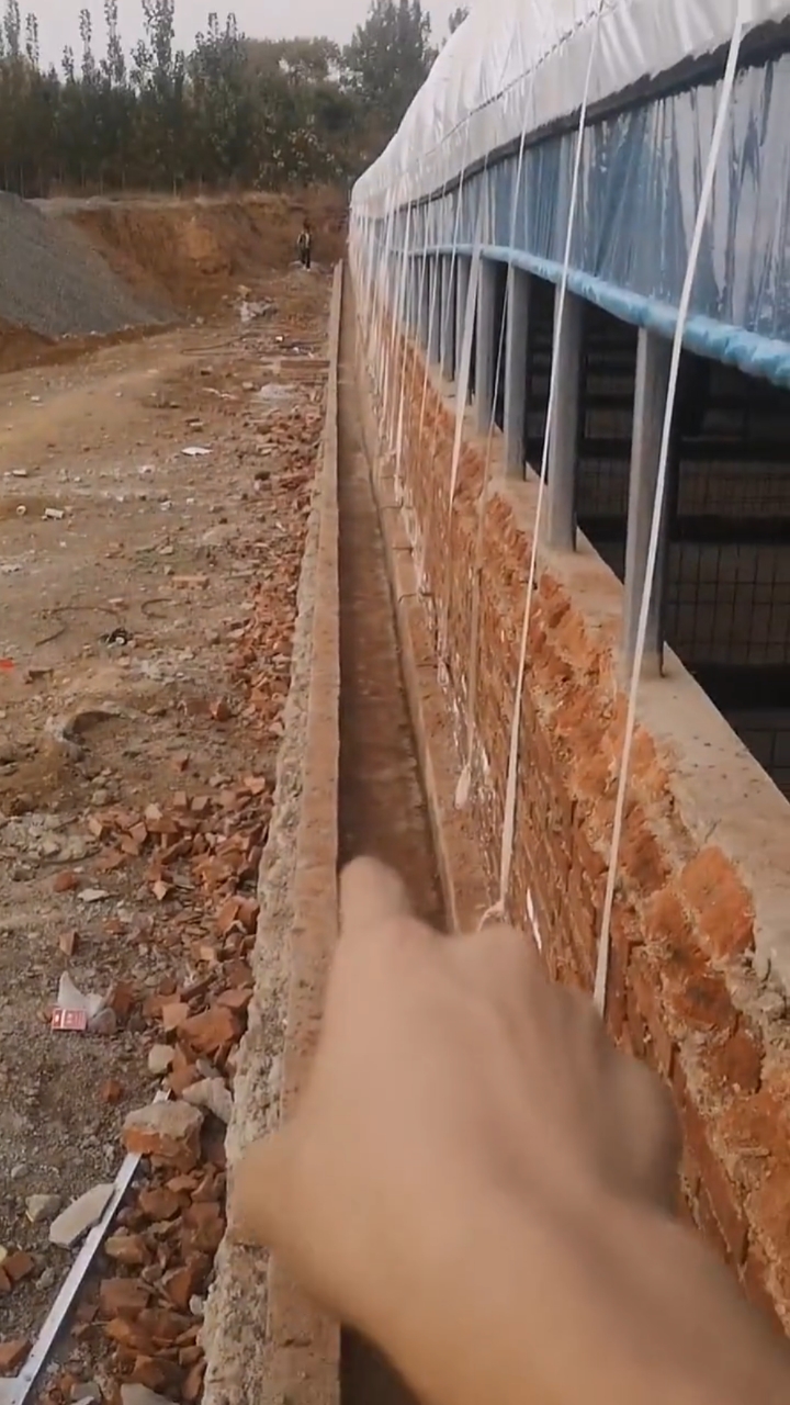 养猪大棚#养猪大棚外侧用排粪沟排粪,大家可以参考一下!