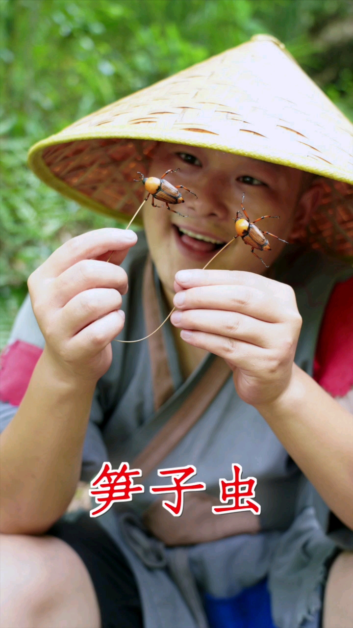 竹林竹笋虫太多了,抓点回来做个小时候玩具