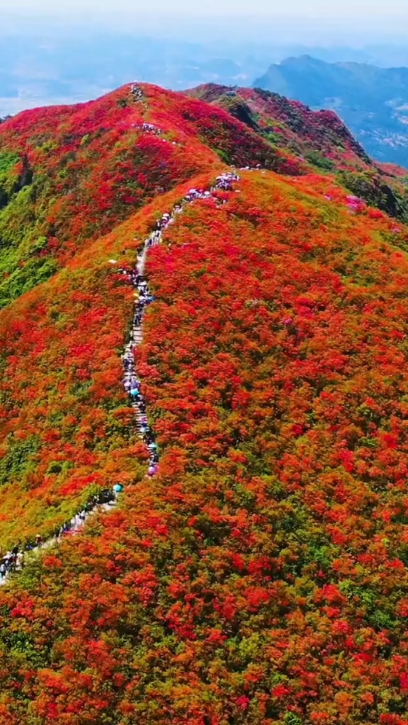 山里红图片 风景图片图片